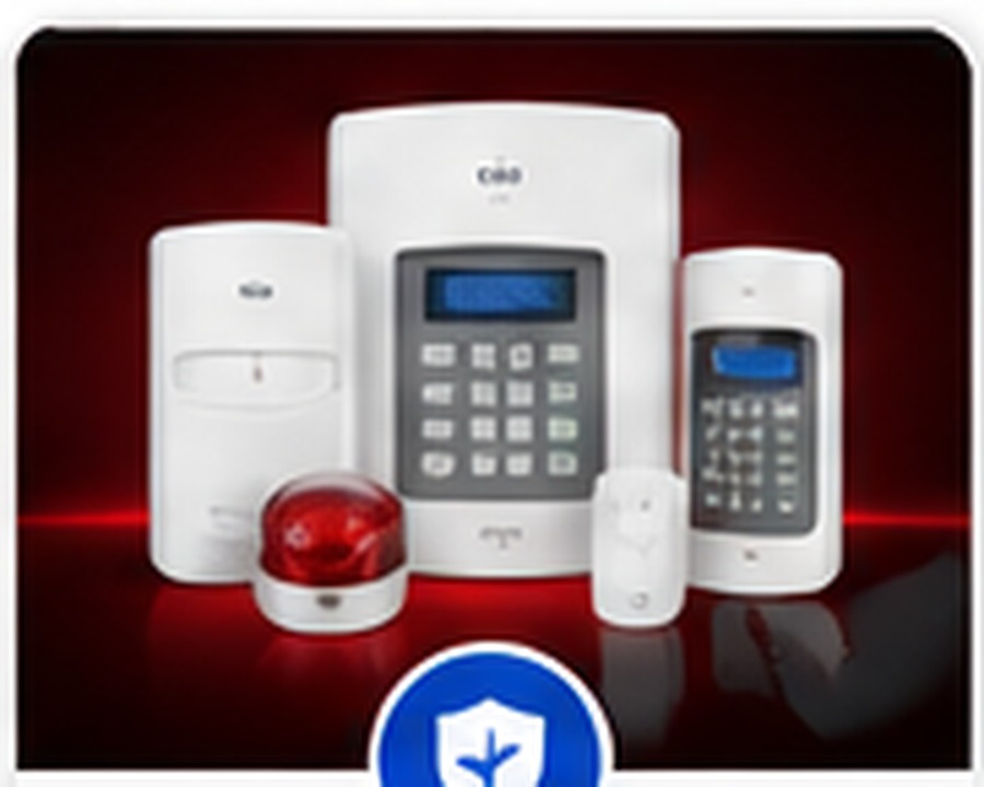 Alarm System